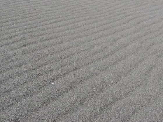 砂浜に風紋