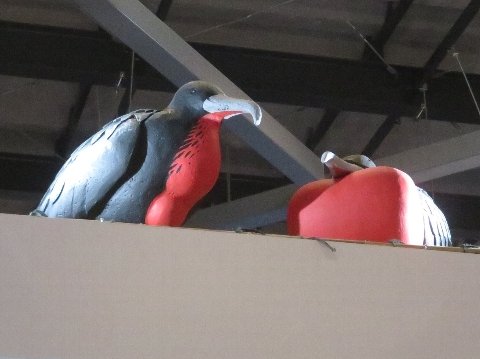 �����Ȃ��I�I�O���J���h��