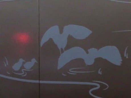 �^�}�V�M�̂����e(�E�[)���Њd(������)���Ă�����